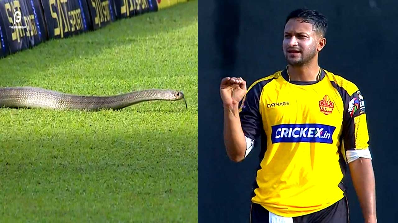 সাকিবের বোলিংয়ের সময় হঠাৎ মাঠের মধ্যে সাপ ঢুকে পরে।